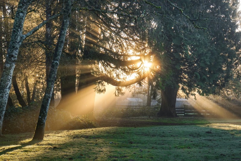 falmet stregkode forårsaget af Sunlight.jpg