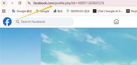 Facebook profil link